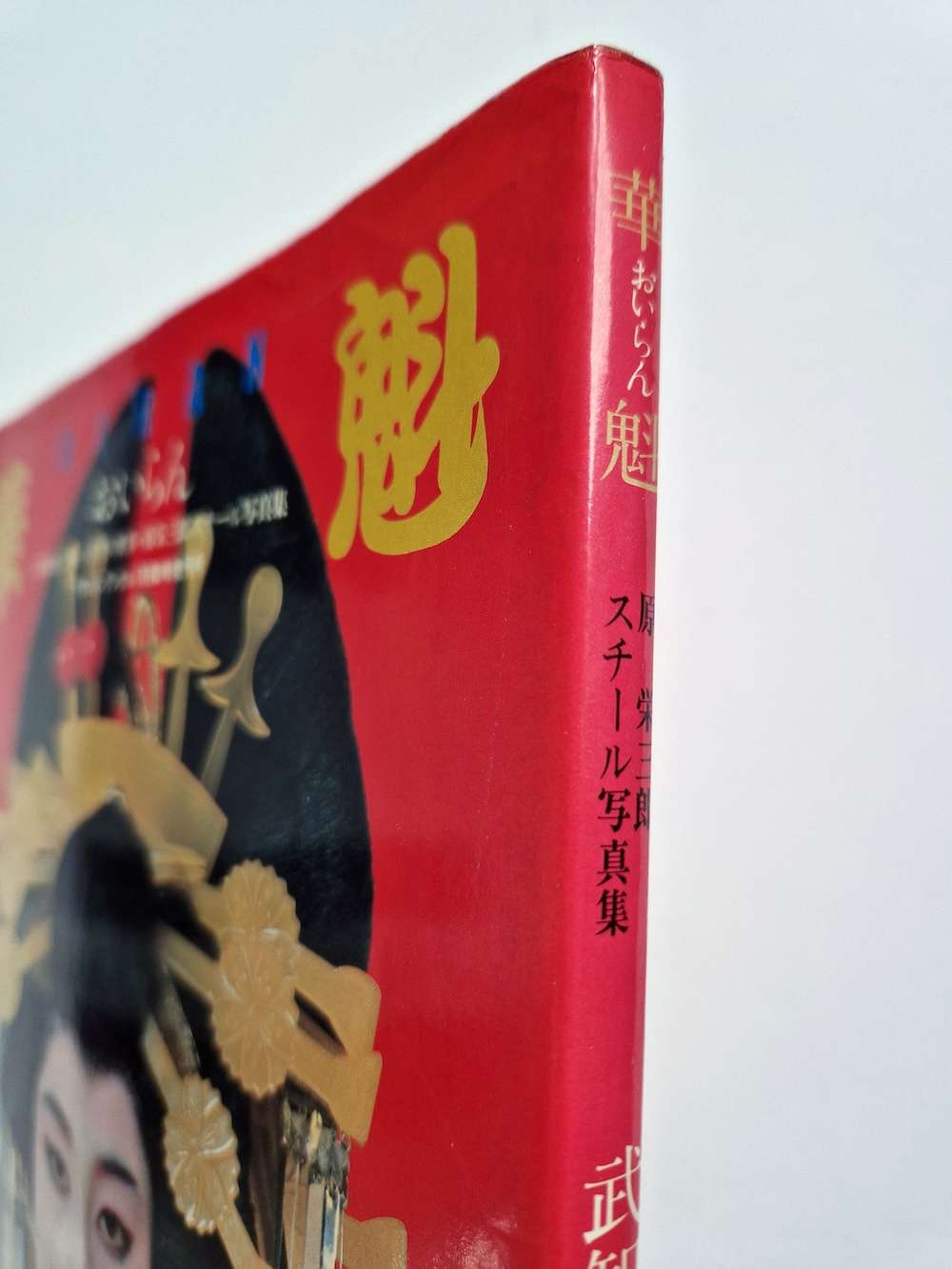 Oiran The Courtesan Tetsuji Takechi bind