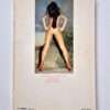 The Venuses of Rio Masaomi Mochizuki back cover