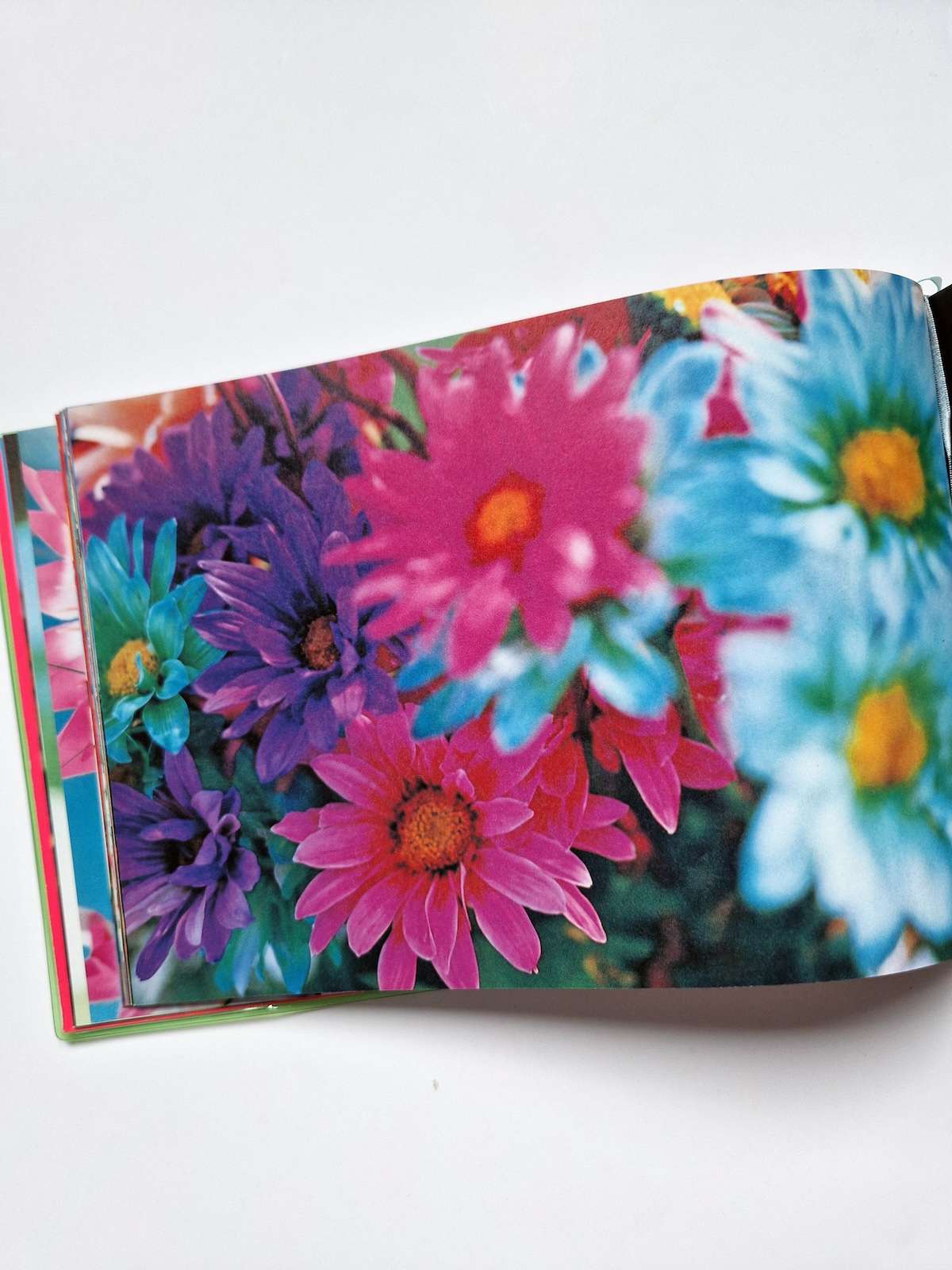 A piece of heaven Mika Ninagawa 12