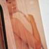 Accidents Tokyo Rika Kishin Shinoyama 6