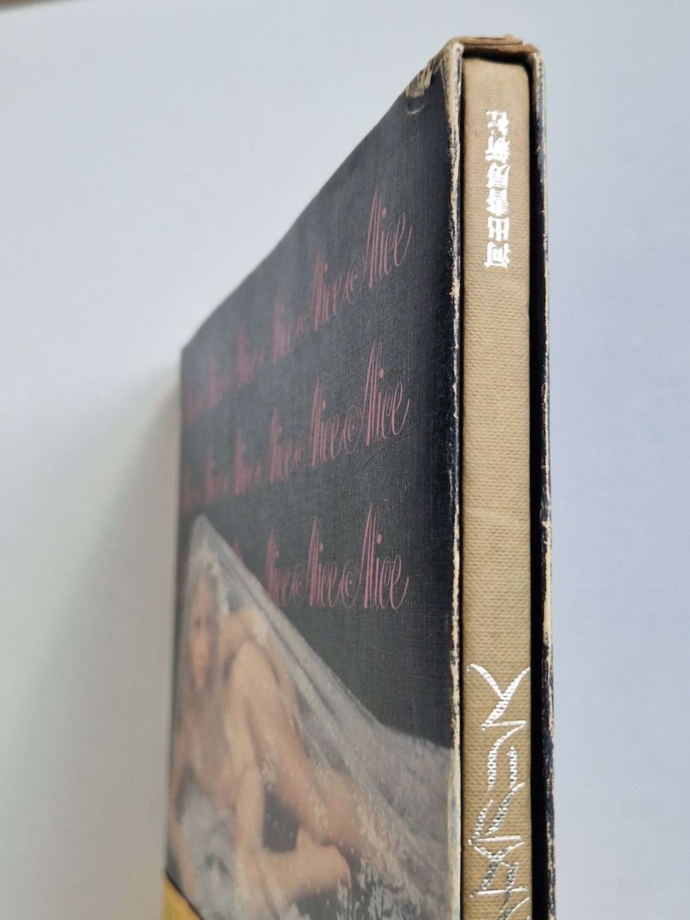 Alice Hajime Sawatari 7 Alice Hajime Sawatari 7