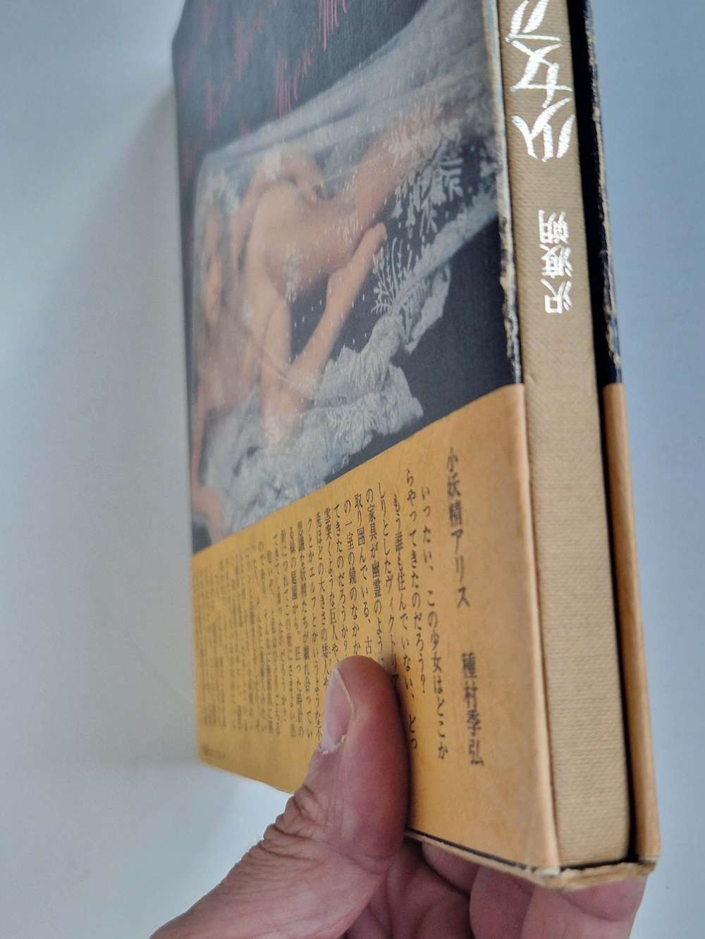 Alice Hajime Sawatari 8 Alice Hajime Sawatari 8