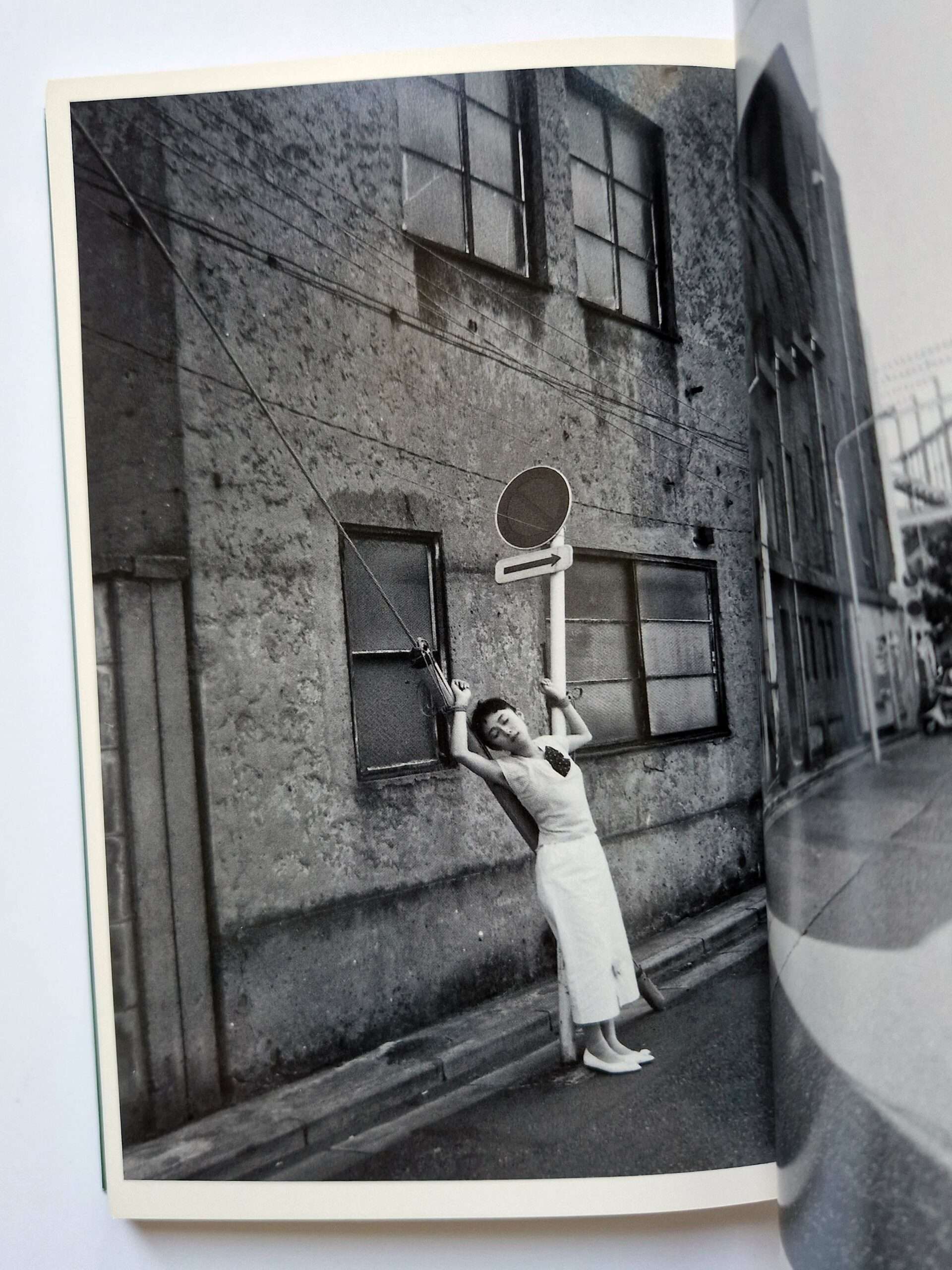 Bondage The Works of Nobuyoshi Araki 18 11