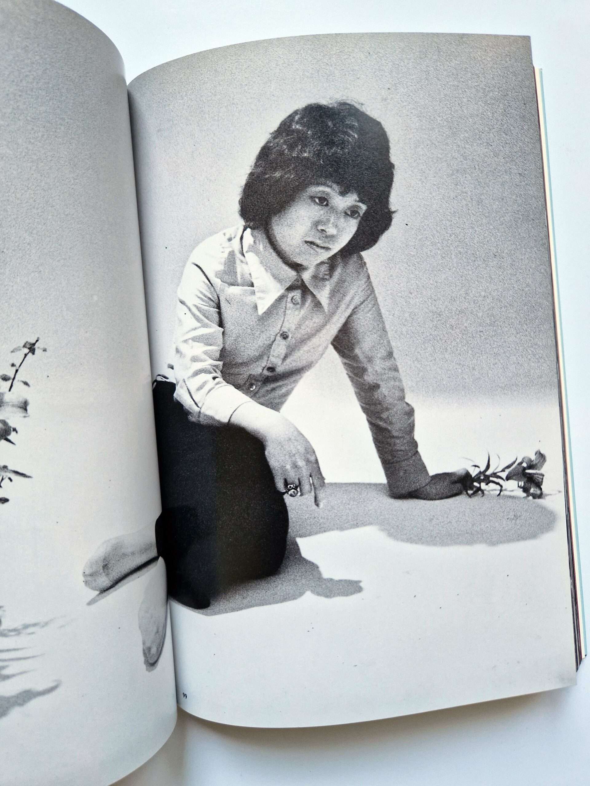 Death Elegy The Works of Nobuyoshi Araki 15 13 Death Elegy The Works of Nobuyoshi Araki 15 13