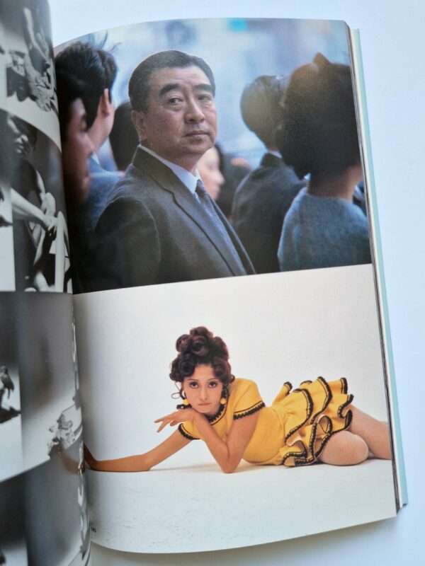 Death Elegy The Works of Nobuyoshi Araki 15 14