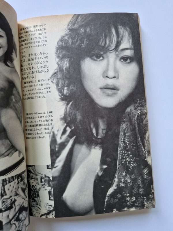 Dramatic Shooting and Fake Reportage The Works of Nobuyoshi Araki 12 11