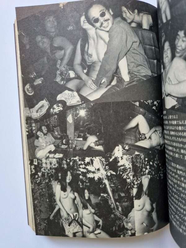 Dramatic Shooting and Fake Reportage The Works of Nobuyoshi Araki 12 14