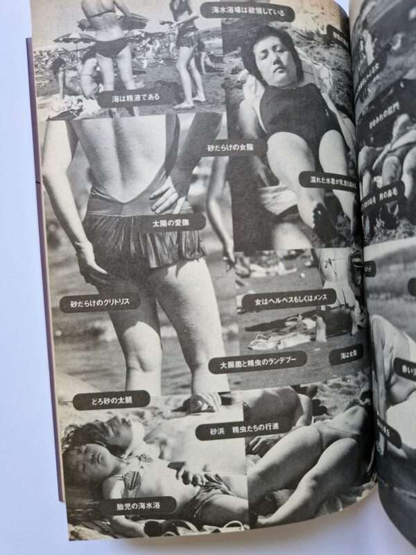 Dramatic Shooting and Fake Reportage The Works of Nobuyoshi Araki 12 15