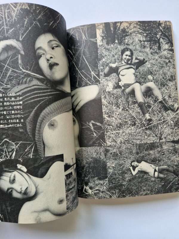 Dramatic Shooting and Fake Reportage The Works of Nobuyoshi Araki 12 5