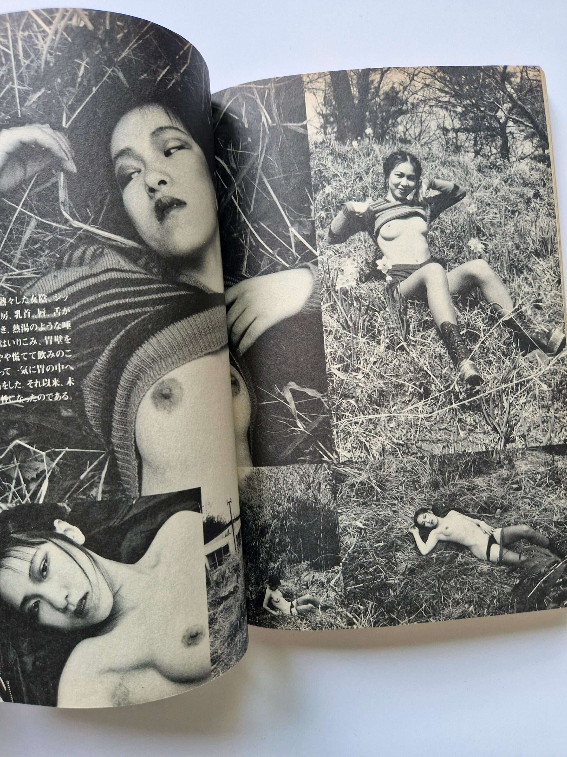 Dramatic Shooting and Fake Reportage The Works of Nobuyoshi Araki 12 5 Dramatic Shooting and Fake Reportage The Works of Nobuyoshi Araki 12 5