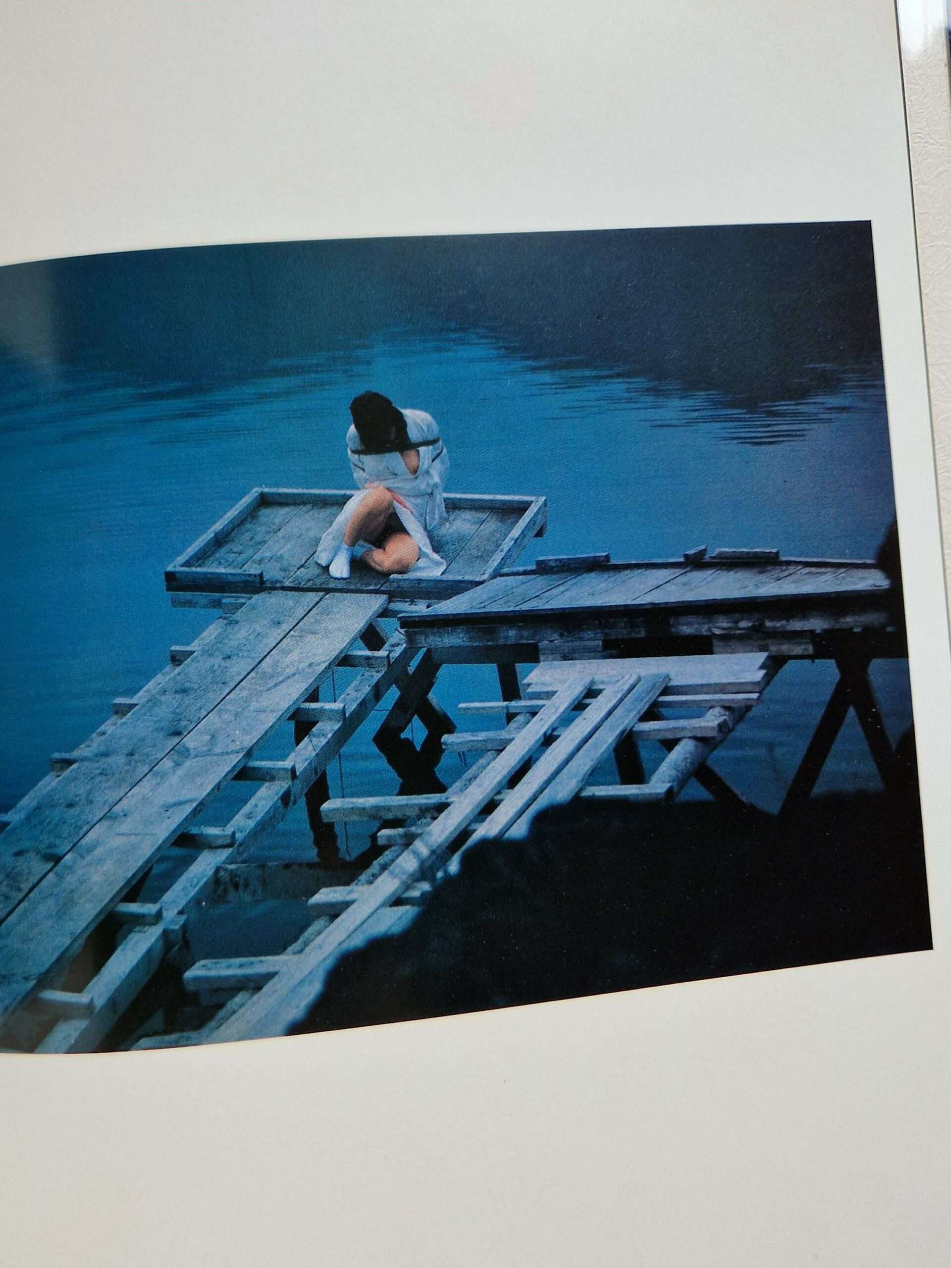 Strange Fruits Akira Ishigaki 12