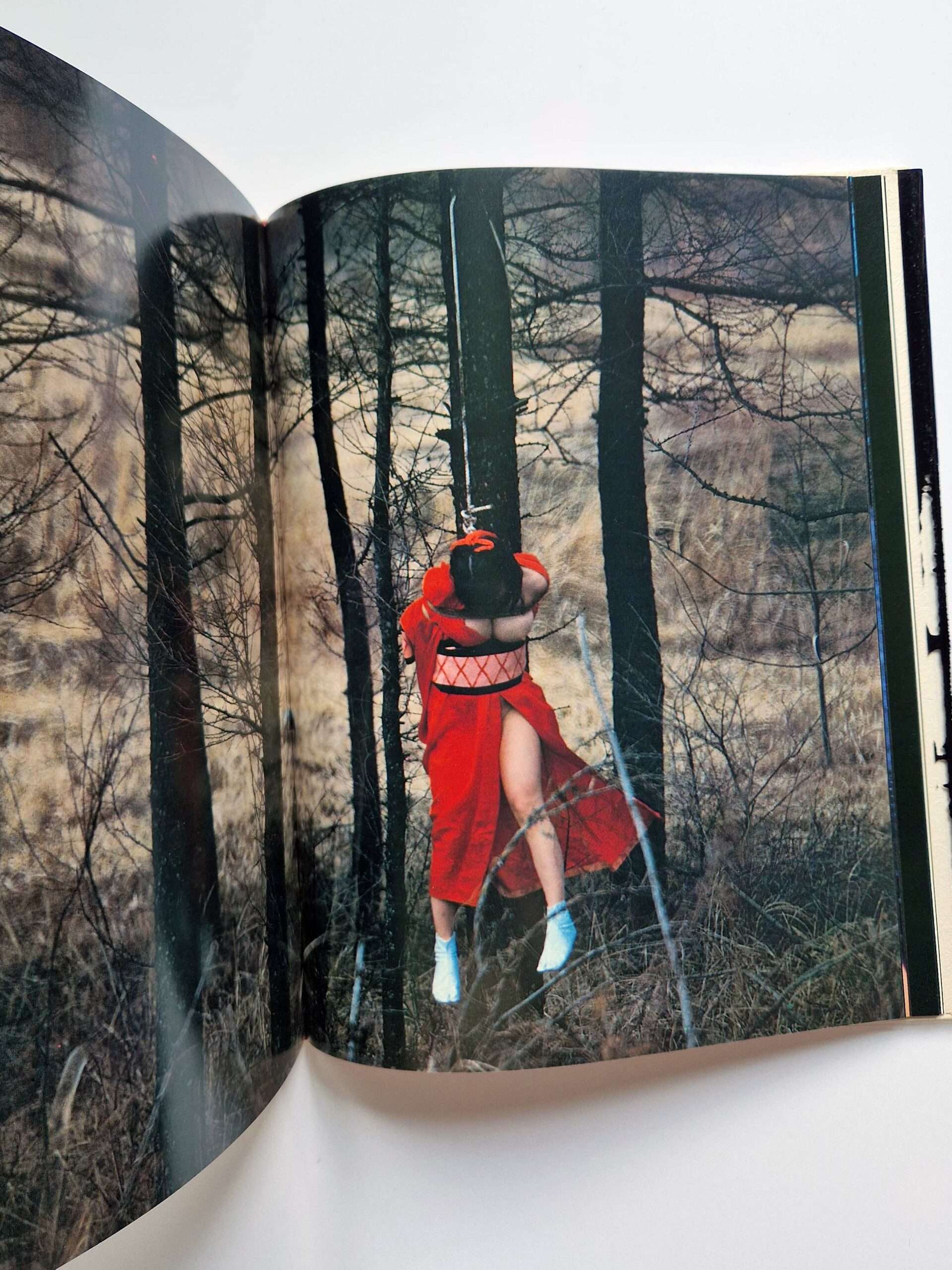 Strange Fruits Akira Ishigaki 15