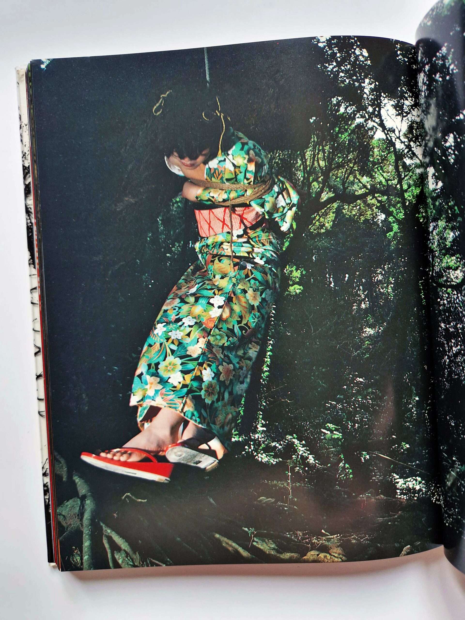 Strange Fruits Akira Ishigaki 22