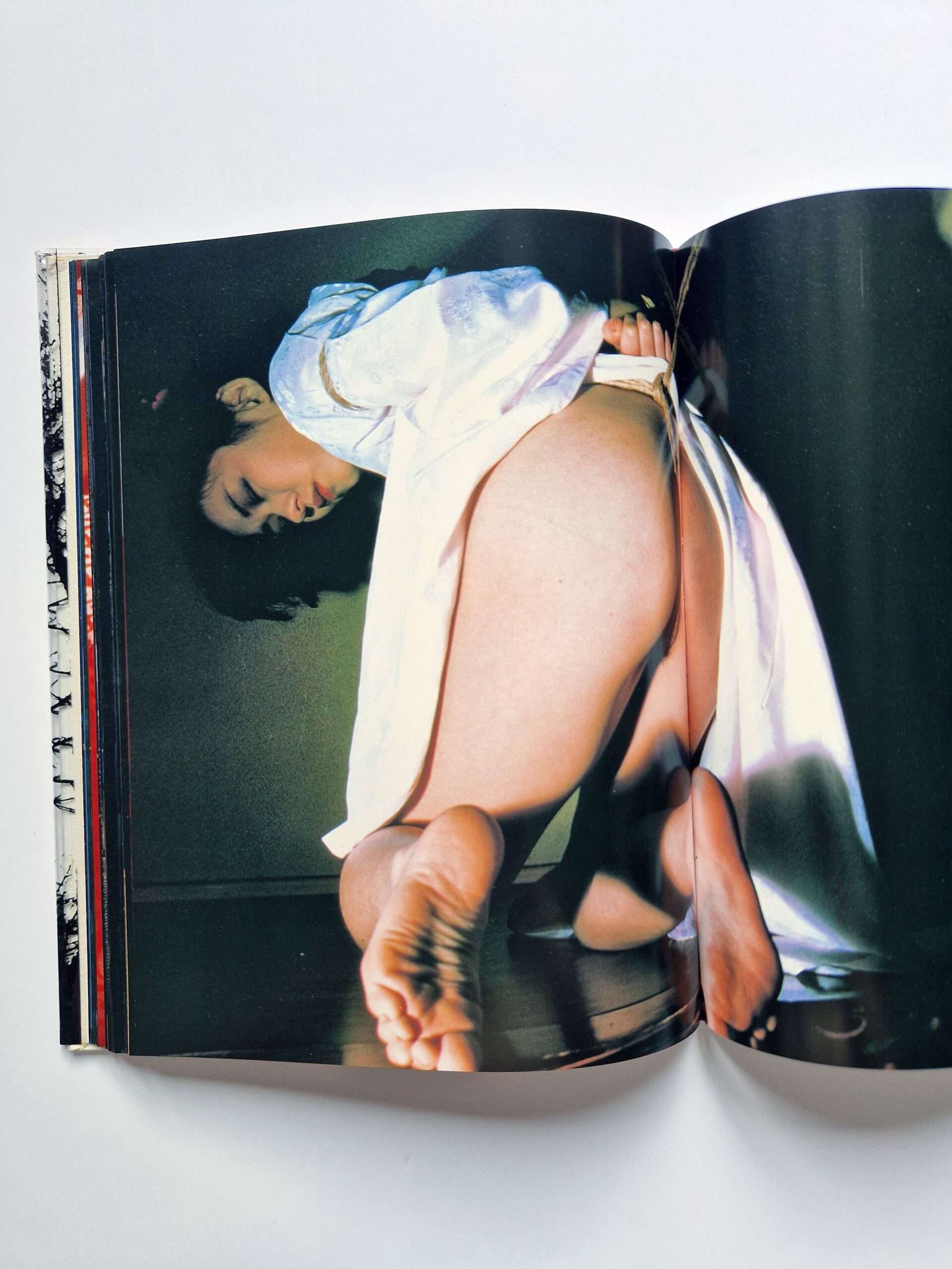 Strange Fruits Akira Ishigaki 27