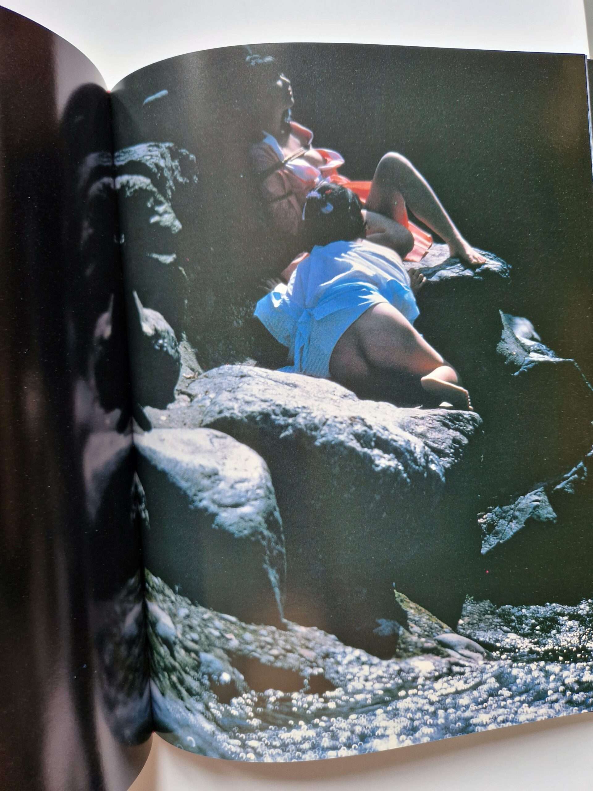 Strange Fruits Akira Ishigaki 30