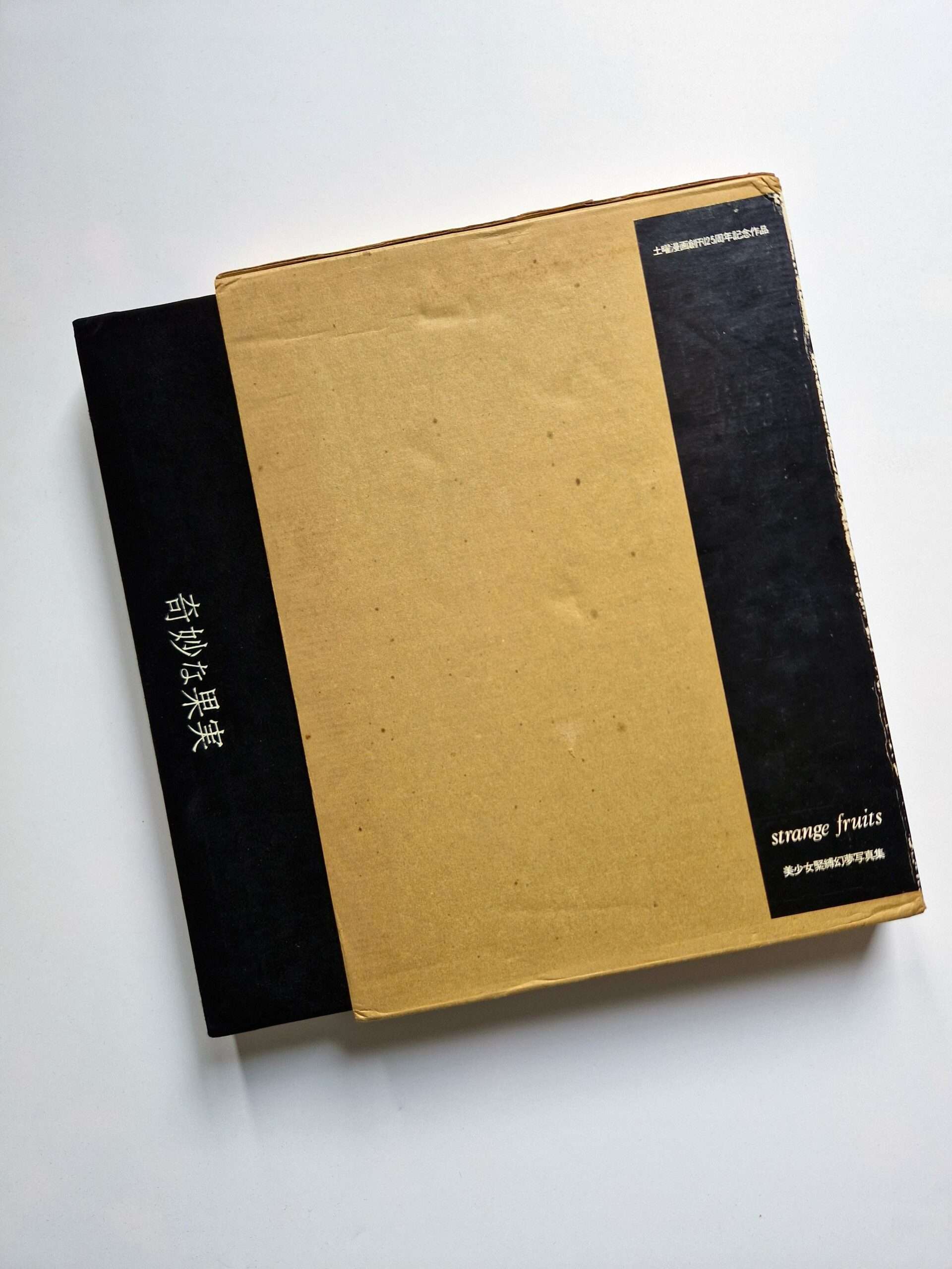 Strange Fruits Akira Ishigaki 6