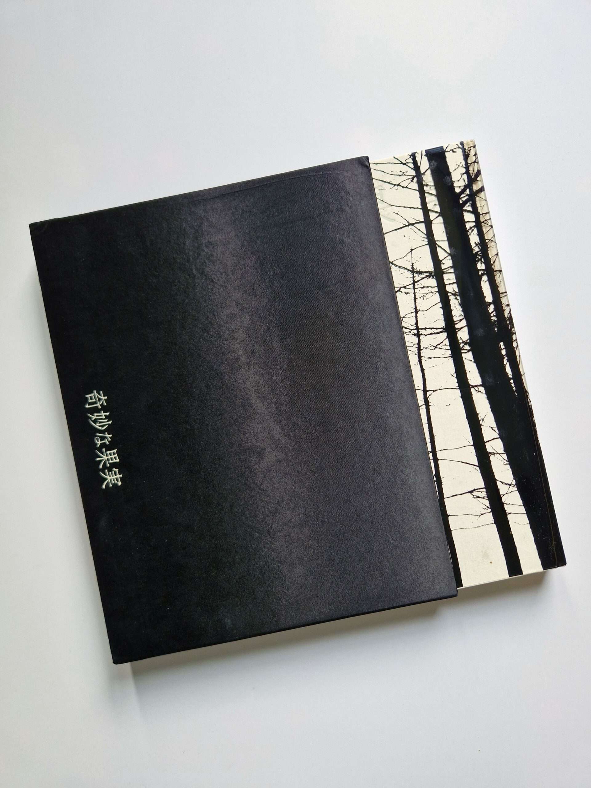 Strange Fruits Akira Ishigaki 7