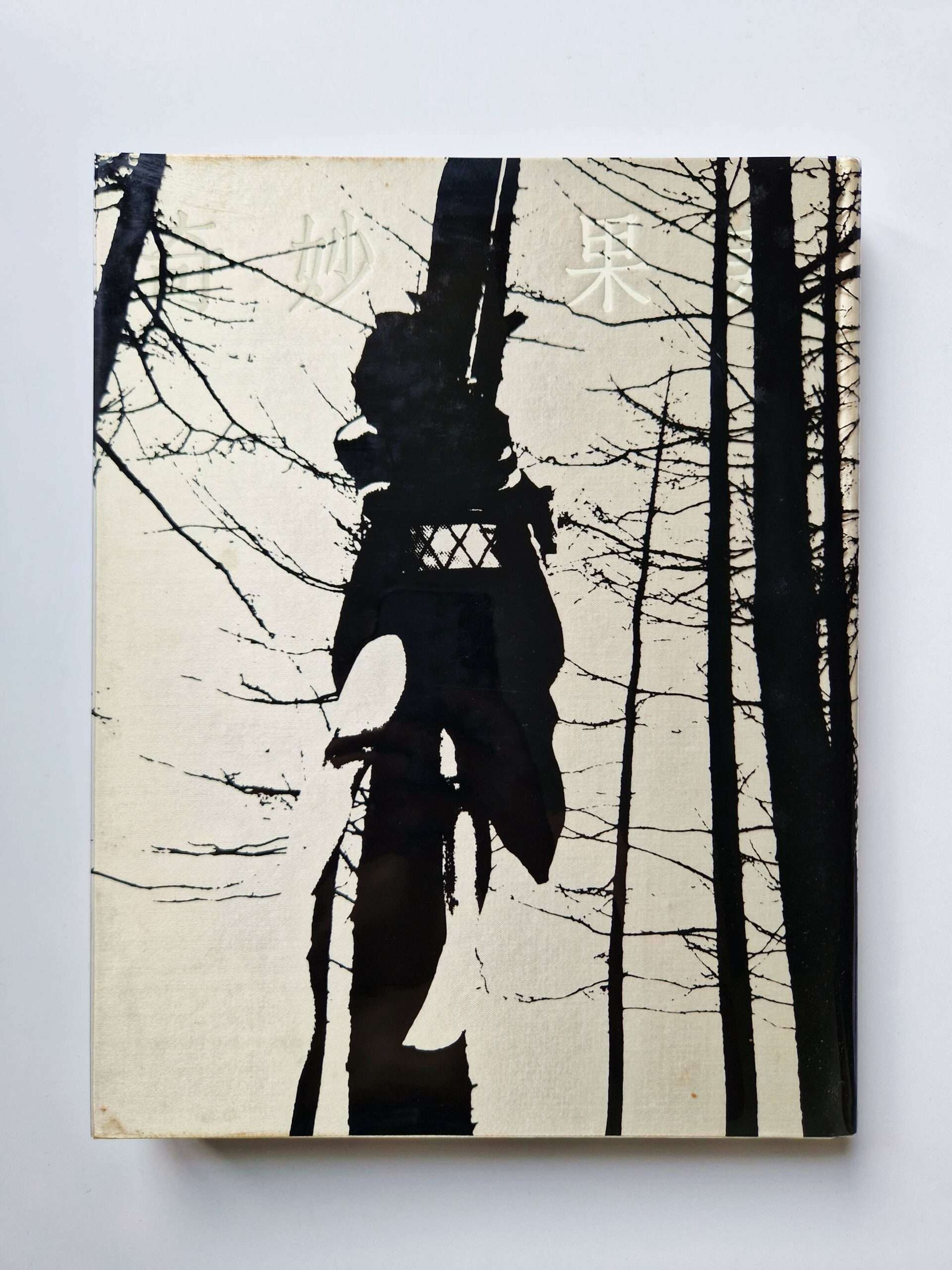 Strange Fruits Akira Ishigaki 8