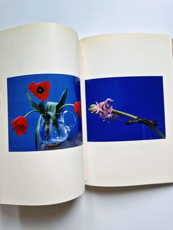 The Works of Nobuyoshi Araki 17 Sensual Flowers 10