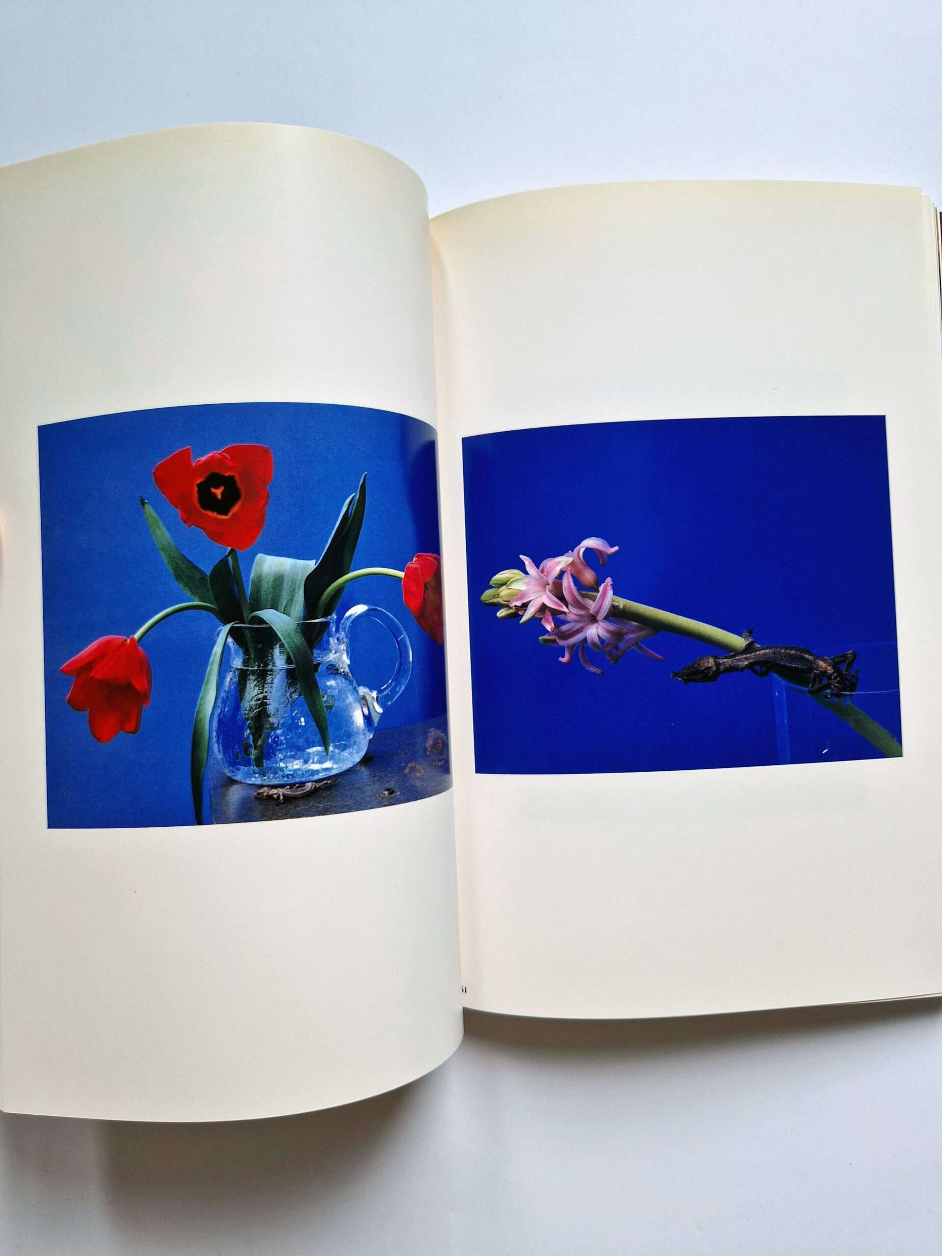 The Works of Nobuyoshi Araki 17 Sensual Flowers 10 The Works of Nobuyoshi Araki 17 Sensual Flowers 10