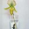 The Works of Nobuyoshi Araki 17 Sensual Flowers 11