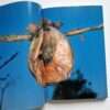 The Works of Nobuyoshi Araki 17 Sensual Flowers 13