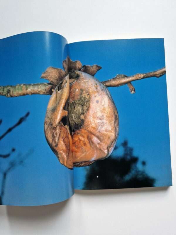 The Works of Nobuyoshi Araki 17 Sensual Flowers 13