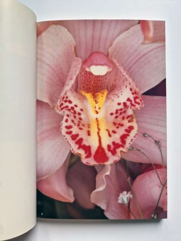 The Works of Nobuyoshi Araki 17 Sensual Flowers 14