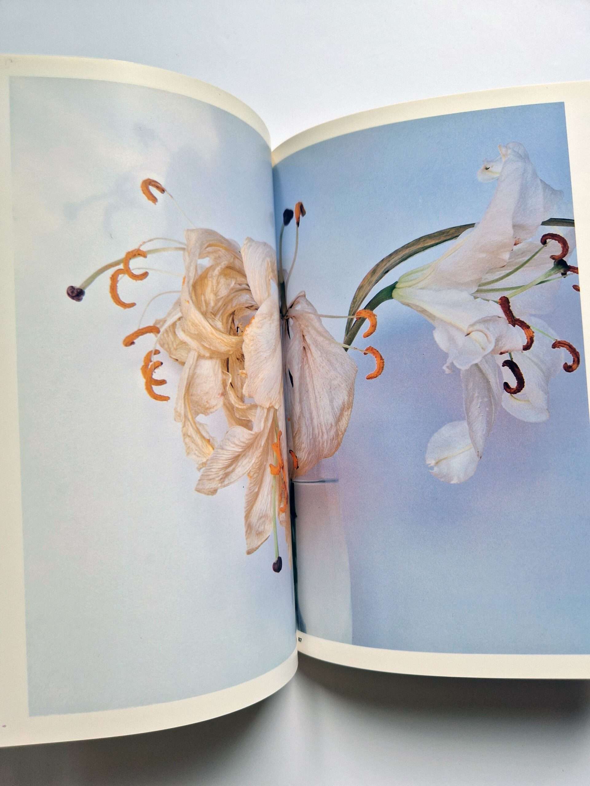 The Works of Nobuyoshi Araki 17 Sensual Flowers 5 The Works of Nobuyoshi Araki 17 Sensual Flowers 5