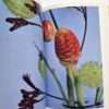 The Works of Nobuyoshi Araki 17 Sensual Flowers 6
