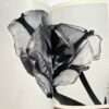 The Works of Nobuyoshi Araki 17 Sensual Flowers 7