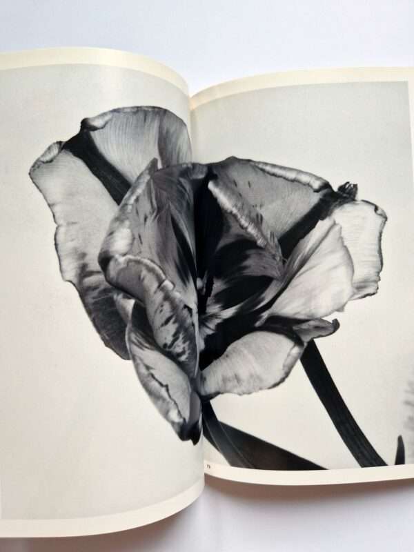 The Works of Nobuyoshi Araki 17 Sensual Flowers 7