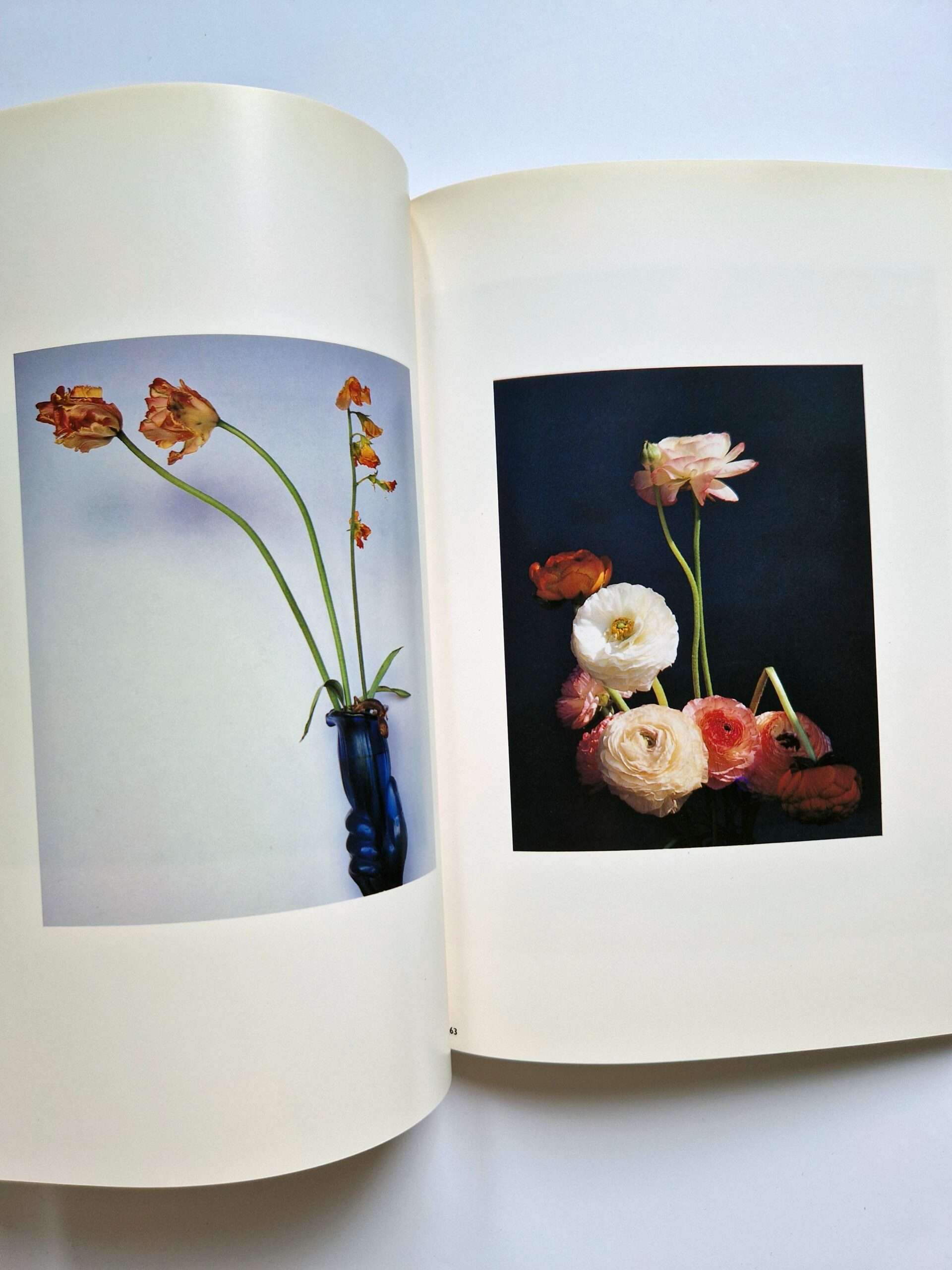The Works of Nobuyoshi Araki 17 Sensual Flowers 8 The Works of Nobuyoshi Araki 17 Sensual Flowers 8