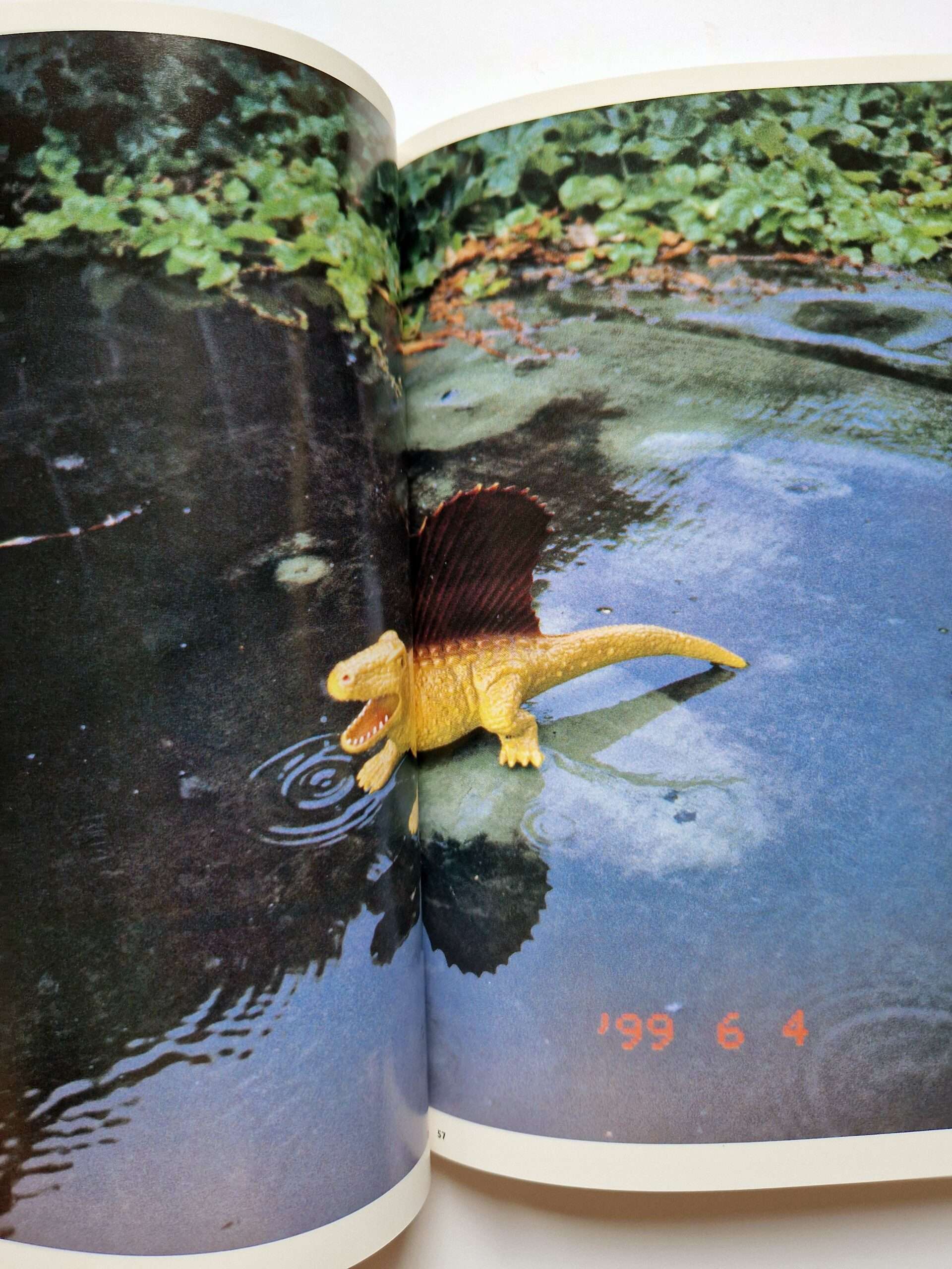 The Works of Nobuyoshi Araki 9 Private Diary 1999 12 The Works of Nobuyoshi Araki 9 Private Diary 1999 12