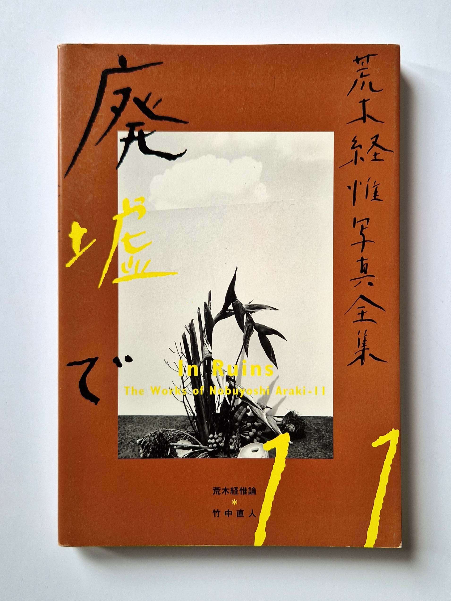 The works of Nobuyoshi Araki 11 In Ruins 1