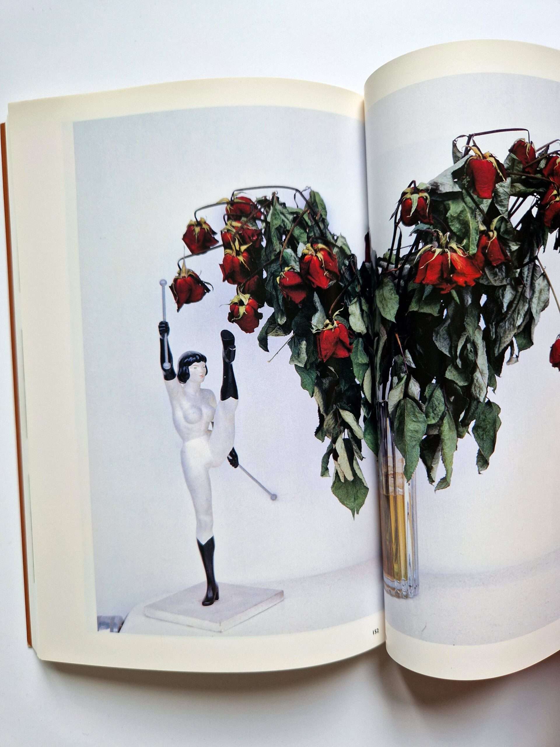 The works of Nobuyoshi Araki 11 In Ruins 11