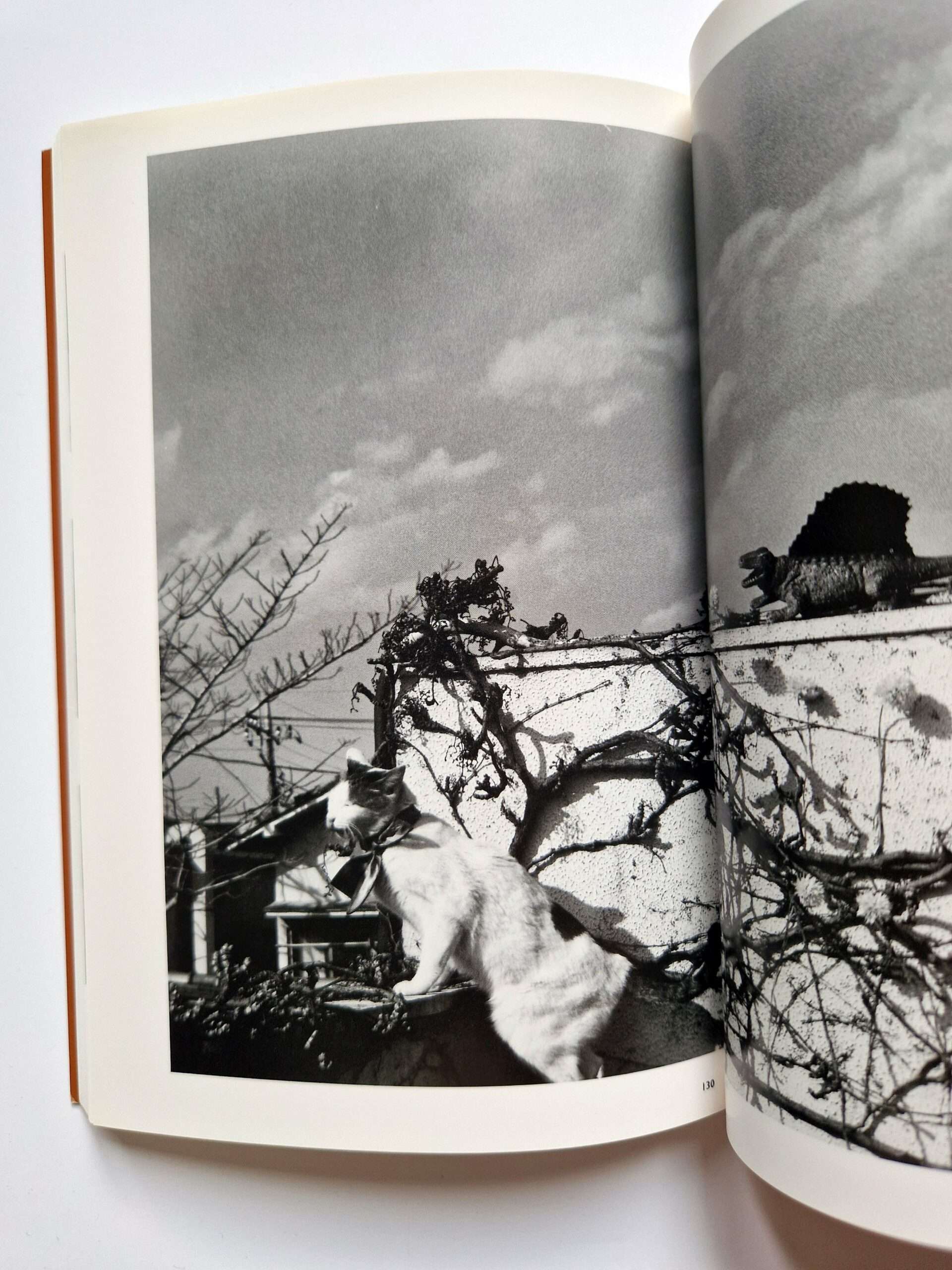 The works of Nobuyoshi Araki 11 In Ruins 12