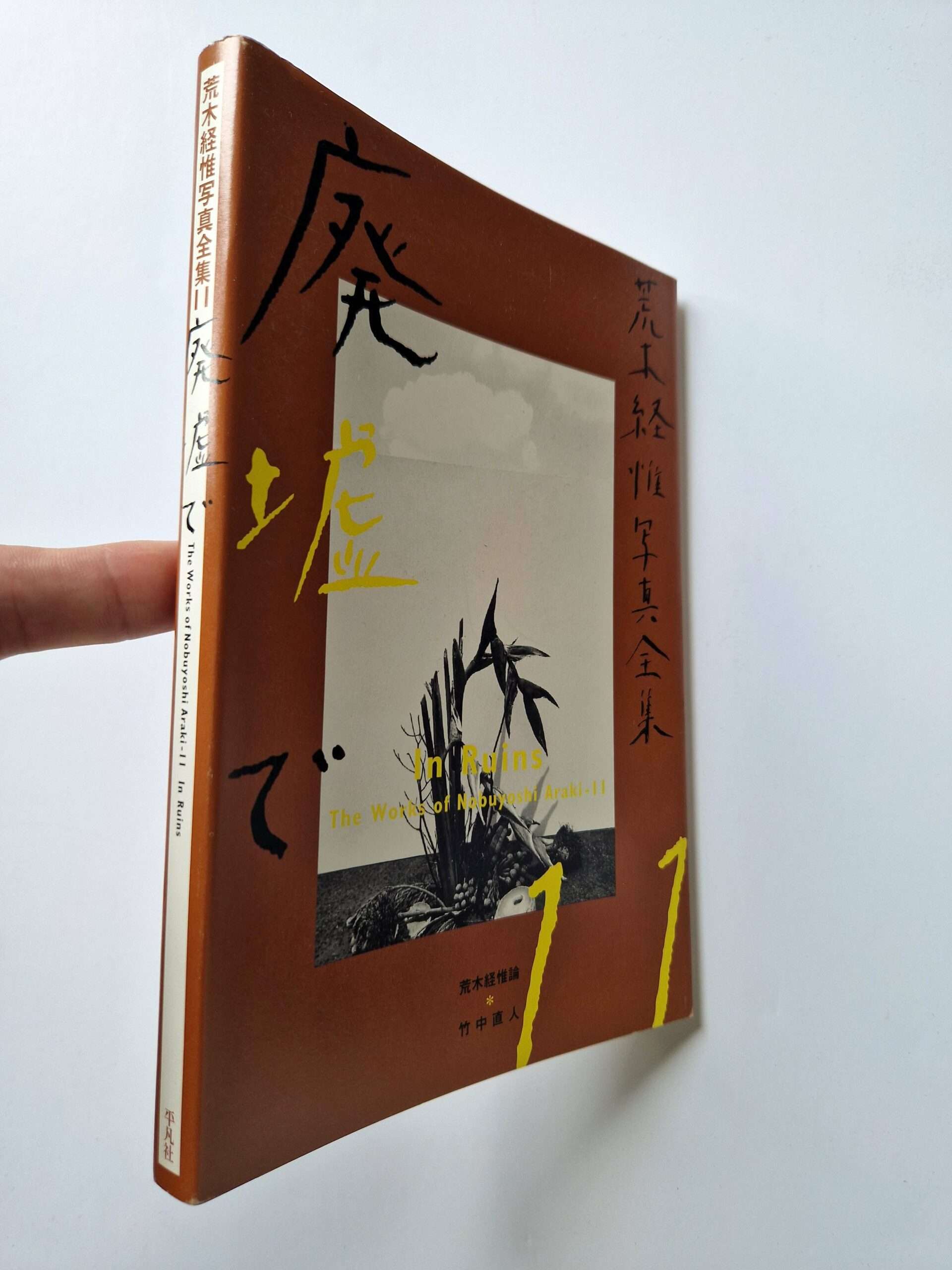 The works of Nobuyoshi Araki 11 In Ruins 3