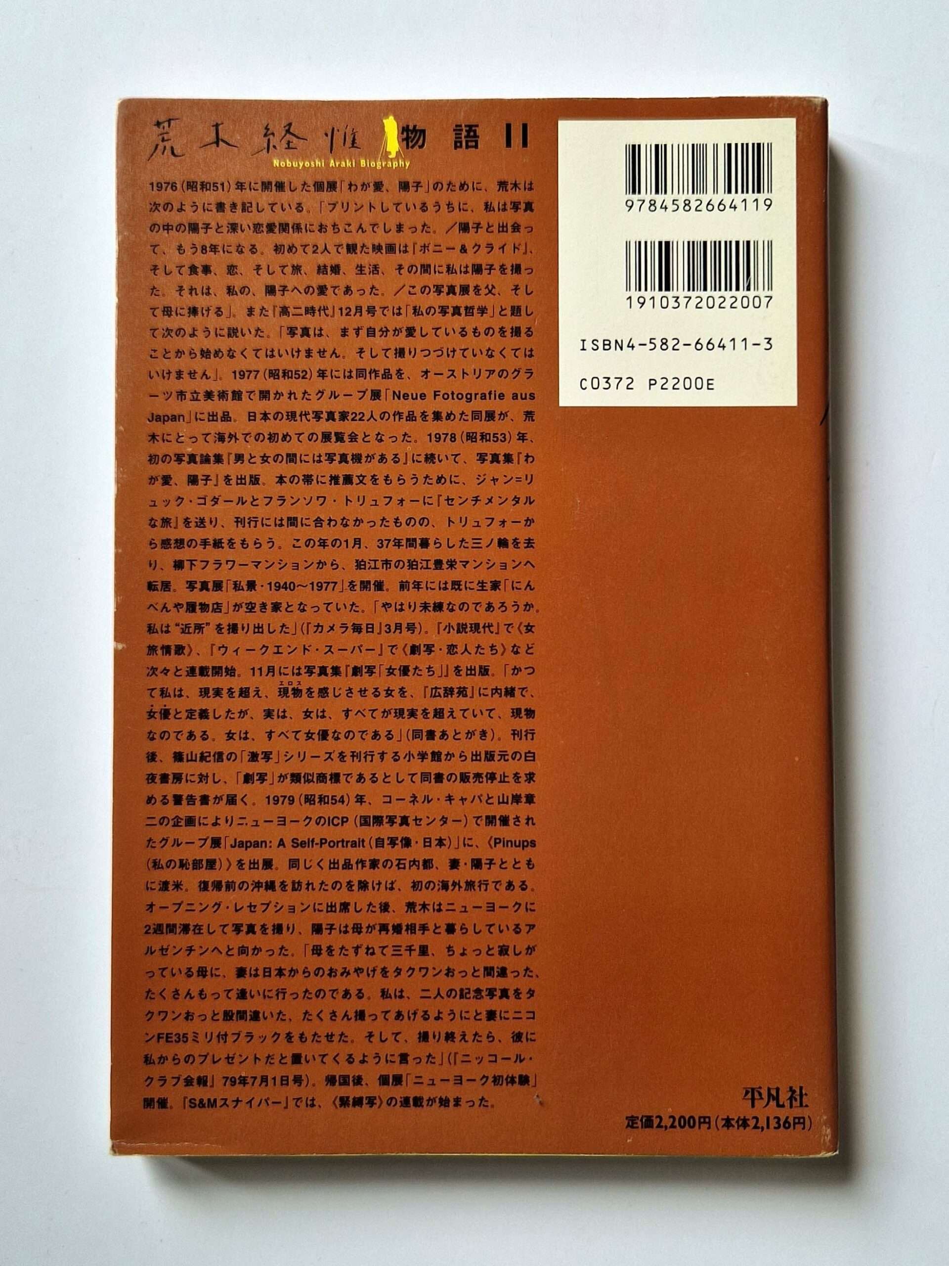 The works of Nobuyoshi Araki 11 In Ruins 4