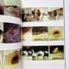 The works of Nobuyoshi Araki 11 In Ruins 5