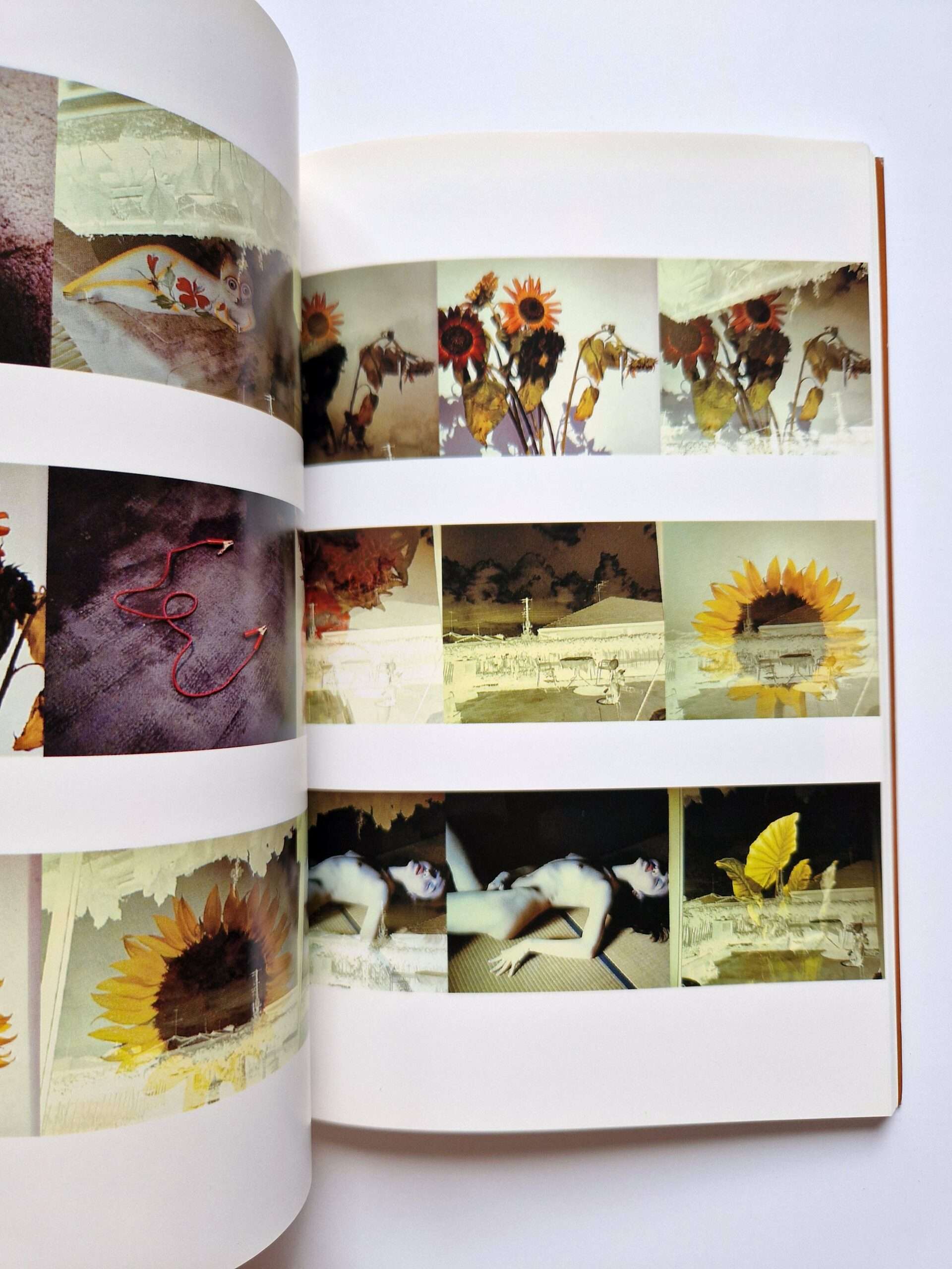 The works of Nobuyoshi Araki 11 In Ruins 5