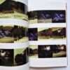 The works of Nobuyoshi Araki 11 In Ruins 6