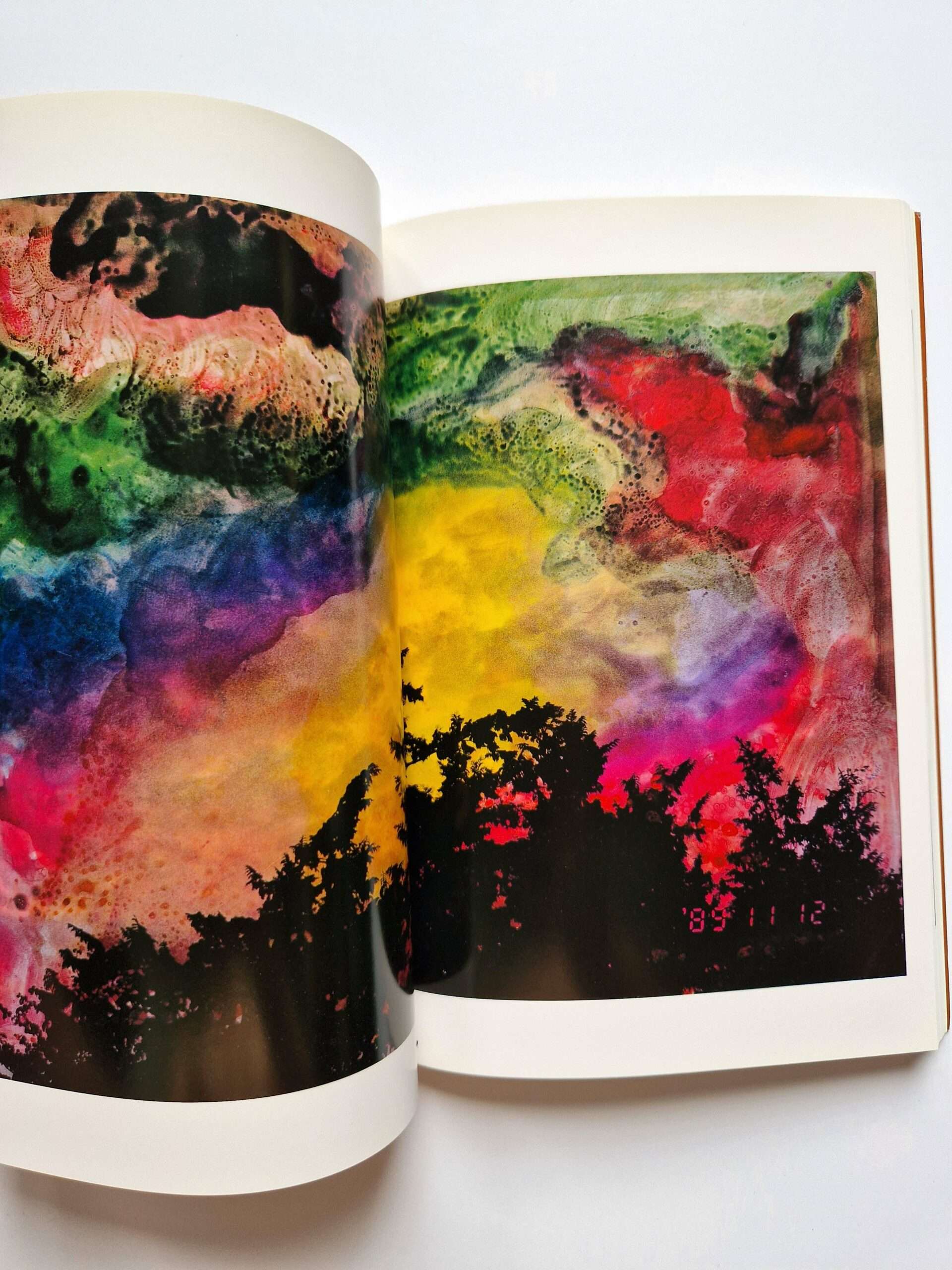 The works of Nobuyoshi Araki 11 In Ruins 7