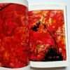 The works of Nobuyoshi Araki 11 In Ruins 8
