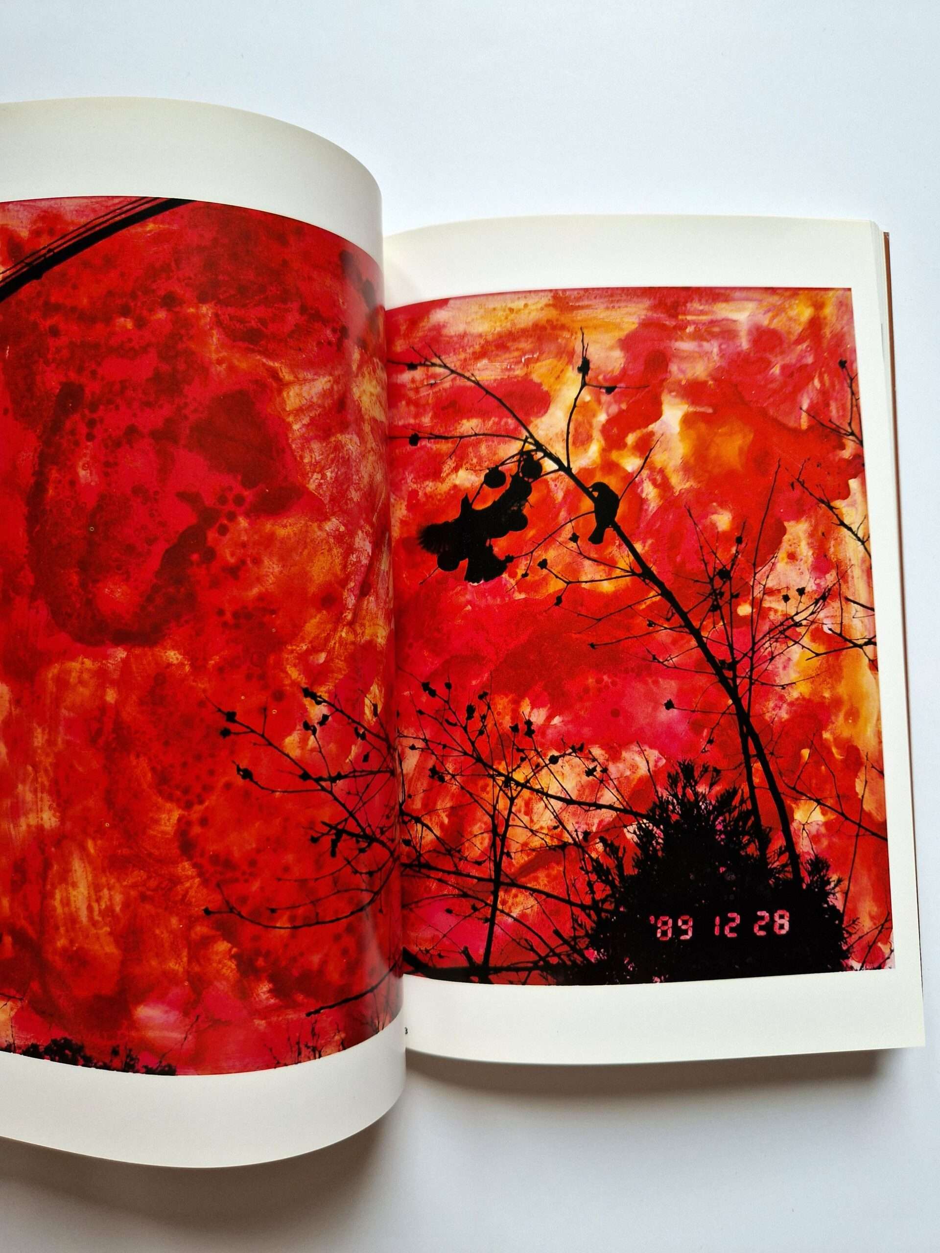 The works of Nobuyoshi Araki 11 In Ruins 8