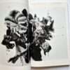 The works of Nobuyoshi Araki 11 In Ruins 9