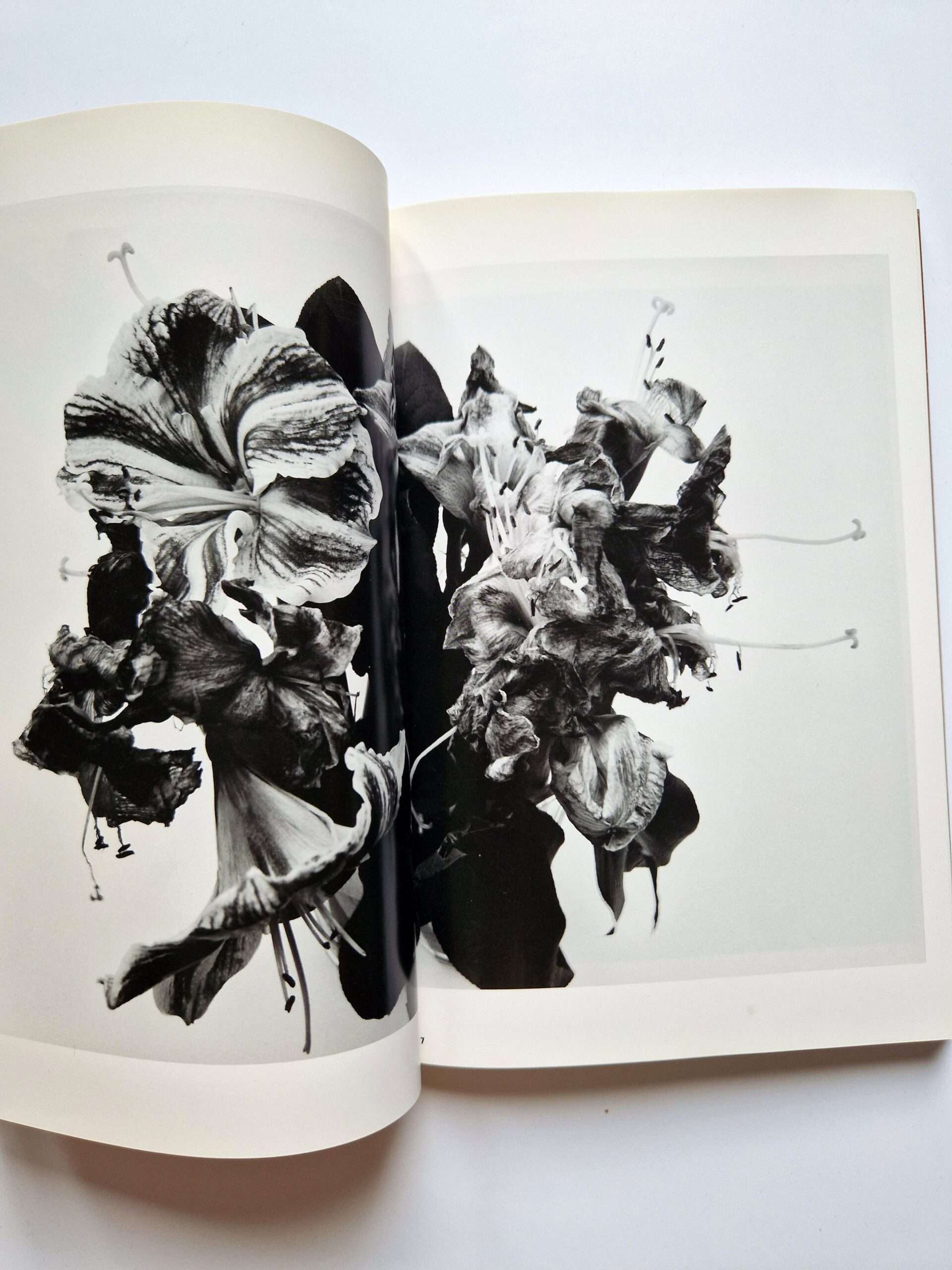 The works of Nobuyoshi Araki 11 In Ruins 9