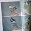 UNDERWATER KNEE HIGH GIRLS 1 SOmehow cute Manabu Koga 15