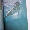 UNDERWATER KNEE HIGH GIRLS 1 SOmehow cute Manabu Koga 2