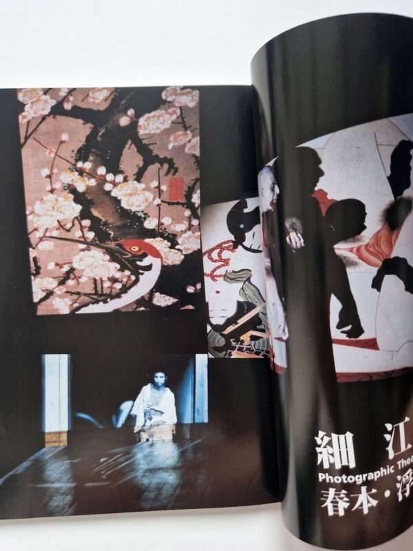 21 Prints Eikoh Hosoe 4